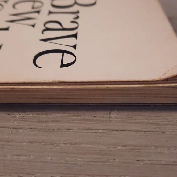 Secret Journal "Brave New World" - Picture 6 of 6